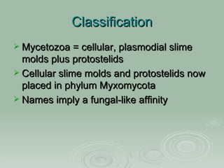 Lecture 24 Slime Molds PPT Lecture 24 Slime Molds PPT