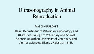Ultrasonography in Animal
Reproduction
Prof G N PUROHIT
Head, Department of Veterinary Gynecology and
Obstetrics, College of Veterinary and Animal
Science, Rajasthan University of Veterinary and
Animal Sciences, Bikaner, Rajasthan, India
 