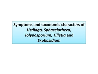 Symptoms and taxonomic characters of
Ustilago, Sphacelotheca,
Tolyposporium, Tilletia and
Exobasidium
 