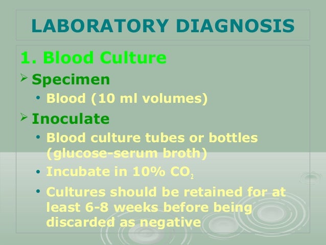 glucose test 6.8 blood Brucella Lecture 25