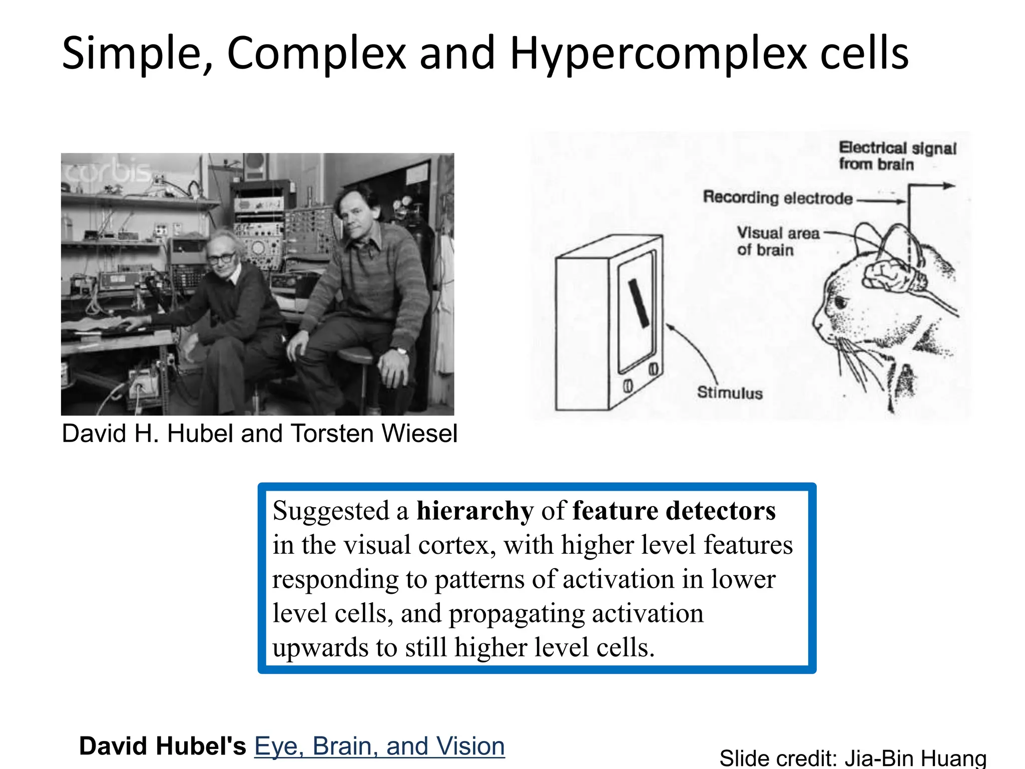 Simple, Complex and Hypercomplex cells
David H. Hubel and Torsten Wiesel
David Hubel's Eye, Brain, and Vision
Suggested a hierarchy of feature detectors
in the visual cortex, with higher level features
responding to patterns of activation in lower
level cells, and propagating activation
upwards to still higher level cells.
Slide credit: Jia-Bin Huang
 