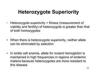 14
Heterozygote Superiority
• Heterozygote superiority = fitness (measurement of
viability and fertility) of heterozygote is greater than that
of both homozygotes
• When there is heterozygote superiority, neither allele
can be eliminated by selection
• In sickle cell anemia, allele for mutant hemoglobin is
maintained in high frequencies in regions of endemic
malaria because heterozygotes are more resistant to
this disease
 