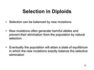 15
Selection in Diploids
• Selection can be balanced by new mutations
• New mutations often generate harmful alleles and
prevent their elimination from the population by natural
selection
• Eventually the population will attain a state of equilibrium
in which the new mutations exactly balance the selective
elimination
 
