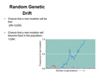 18
Random Genetic
Drift
• Chance that a new mutation will be
lost:
(2N-1)/(2N)
• Chance that a new mutation will
become fixed in the population:
1/(2N)
 