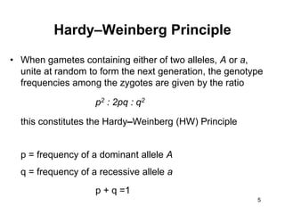 5
Hardy–Weinberg Principle
• When gametes containing either of two alleles, A or a,
unite at random to form the next generation, the genotype
frequencies among the zygotes are given by the ratio
p2 : 2pq : q2
this constitutes the Hardy–Weinberg (HW) Principle
p = frequency of a dominant allele A
q = frequency of a recessive allele a
p + q =1
 