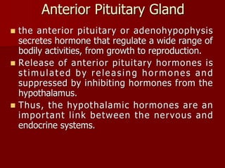 Topic 23: Human anatomy & Physiology Endocrine system.pdf