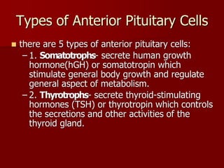 Topic 23: Human anatomy & Physiology Endocrine system.pdf