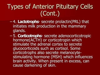 Topic 23: Human anatomy & Physiology Endocrine system.pdf