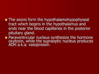 Topic 23: Human anatomy & Physiology Endocrine system.pdf