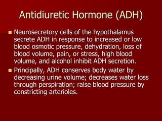 Topic 23: Human anatomy & Physiology Endocrine system.pdf