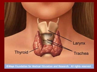 Topic 23: Human anatomy & Physiology Endocrine system.pdf