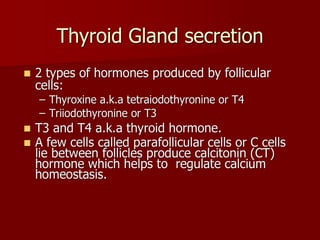 Topic 23: Human anatomy & Physiology Endocrine system.pdf