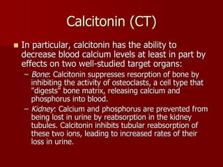 Topic 23: Human anatomy & Physiology Endocrine system.pdf