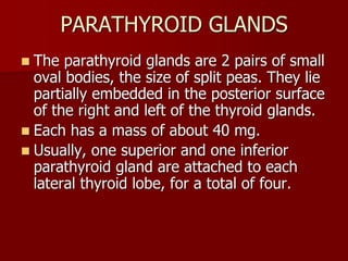 Topic 23: Human anatomy & Physiology Endocrine system.pdf