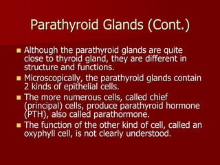 Topic 23: Human anatomy & Physiology Endocrine system.pdf