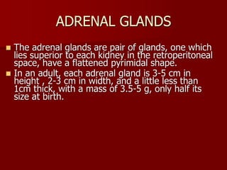 Topic 23: Human anatomy & Physiology Endocrine system.pdf