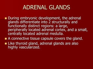 Topic 23: Human anatomy & Physiology Endocrine system.pdf