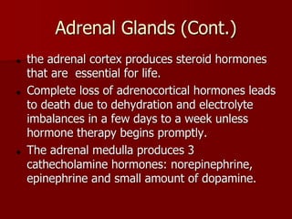 Topic 23: Human anatomy & Physiology Endocrine system.pdf