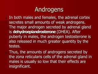 Topic 23: Human anatomy & Physiology Endocrine system.pdf