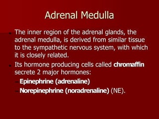 Topic 23: Human anatomy & Physiology Endocrine system.pdf