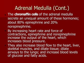 Topic 23: Human anatomy & Physiology Endocrine system.pdf