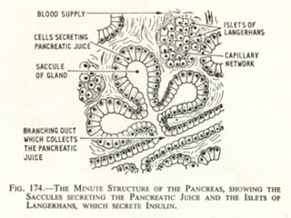 Topic 23: Human anatomy & Physiology Endocrine system.pdf