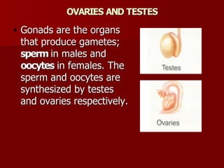 Topic 23: Human anatomy & Physiology Endocrine system.pdf
