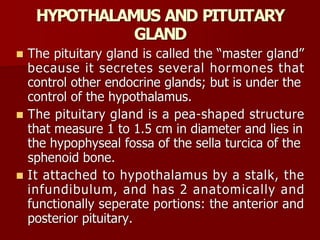 Topic 23: Human anatomy & Physiology Endocrine system.pdf