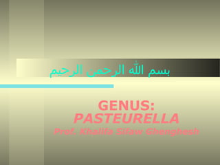 ‫بسم ا الرحمن الرحيم‬
GENUS:
PASTEURELLA

Prof. Khalifa Sifaw Ghenghesh

 