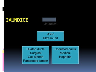 JAUNDICE
Jaundice
Dilated ducts
Surgical
Gall stones
Pancreatic cancer
Undilated ducts
Medical
Hepatitis
AXR
Ultrasound
 