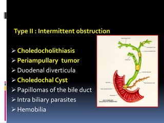 Type II : Intermittent obstruction
 Choledocholithiasis
 Periampullary tumor
 Duodenal diverticula
 Choledochal Cyst
 Papillomas of the bile duct
 Intra biliary parasites
 Hemobilia
 