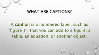 Label equation in word