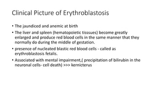 Clinical Picture of Erythroblastosis
• The jaundiced and anemic at birth
• The liver and spleen (hematopoietic tisssues) become greatly
enlarged and produce red blood cells in the same manner that they
normally do during the middle of gestation.
• presence of nucleated blastic red blood cells - called as
erythroblastosis fetalis.
• Associated with mental impairment,( precipitation of bilirubin in the
neuronal cells- cell death) >>> kernicterus
 