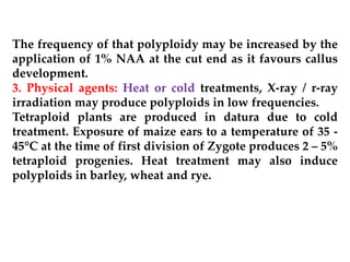 The frequency of that polyploidy may be increased by the
application of 1% NAA at the cut end as it favours callus
development.
3. Physical agents: Heat or cold treatments, X-ray / r-ray
irradiation may produce polyploids in low frequencies.
Tetraploid plants are produced in datura due to cold
treatment. Exposure of maize ears to a temperature of 35 -
45°C at the time of first division of Zygote produces 2 – 5%
tetraploid progenies. Heat treatment may also induce
polyploids in barley, wheat and rye.
 