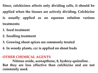 Since, colchicines affects only dividing cells, it should be
applied when the tissues are actively dividing. Colchicine
is usually applied as an aqueous solution various
treatments:
1. Seed treatment
2. Seedling treatment
3. Growing shoot apices are commonly treated
4. In woody plants, ccc is applied on shoot buds
OTHER CHEMICAL AGENTS
Nitrous oxide, acenapthene, 8, hydoxy-quinoline .
But they are less effective than colchicine and are not
commonly used.
 