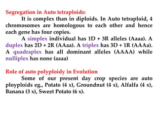 Segregation in Auto tetraploids:
It is complex than in diploids. In Auto tetraploid, 4
chromosomes are homologous to each other and hence
each gene has four copies.
A simplex individual has 1D + 3R alleles (Aaaa). A
duplex has 2D + 2R (AAaa). A triplex has 3D + 1R (AAAa).
A quadraplex has all dominant alleles (AAAA) while
nulliplex has none (aaaa)
Role of auto polyploidy in Evolution
Some of our present day crop species are auto
ployploids eg., Potato (4 x), Groundnut (4 x), Alfalfa (4 x),
Banana (3 x), Sweet Potato (6 x).
 
