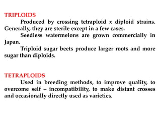 TRIPLOIDS
Produced by crossing tetraploid x diploid strains.
Generally, they are sterile except in a few cases.
Seedless watermelons are grown commercially in
Japan.
Triploid sugar beets produce larger roots and more
sugar than diploids.
TETRAPLOIDS
Used in breeding methods, to improve quality, to
overcome self – incompatibility, to make distant crosses
and occasionally directly used as varieties.
 