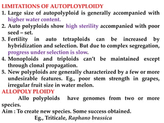 LIMITATIONS OF AUTOPLOYPLOIDY
1. Large size of autopolyploid is generally accompanied with
higher water content.
2. Auto polyploids show high sterility accompanied with poor
seed – set.
3. Fertility in auto tetraploids can be increased by
hybridization and selection. But due to complex segregation,
progress under selection is slow.
4. Monoploids and triploids can’t be maintained except
through clonal propagation.
5. New polyploids are generally characterized by a few or more
undesirable features. Eg., poor stem strength in grapes,
irregular fruit size in water melon.
ALLOPOLY PLOIDY
Allo polyploids have genomes from two or more
species.
Aim : To create new species. Some success obtained.
Eg., Triticale, Raphano brassica
 