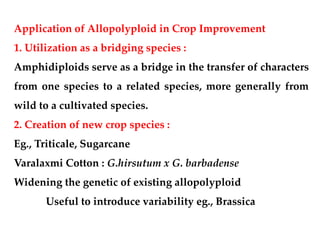 Application of Allopolyploid in Crop Improvement
1. Utilization as a bridging species :
Amphidiploids serve as a bridge in the transfer of characters
from one species to a related species, more generally from
wild to a cultivated species.
2. Creation of new crop species :
Eg., Triticale, Sugarcane
Varalaxmi Cotton : G.hirsutum x G. barbadense
Widening the genetic of existing allopolyploid
Useful to introduce variability eg., Brassica
 