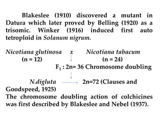 Blakeslee (1910) discovered a mutant in
Datura which later proved by Belling (1920) as a
trisomic. Winker (1916) induced first auto
tetroploid in Solanum nigrum.
Nicotiana glutinosa x Nicotiana tabacum
(n = 12) (n = 24)
F1 : 2n= 36 Chromosome doubling
N.digluta 2n=72 (Clauses and
Goodspeed, 1925)
The chromosome doubling action of colchicines
was first described by Blakeslee and Nebel (1937).
 