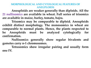 MORPHOLOGICAL AND CYTOLOGICAL FEATURES OF
ANEUPLOIDS
Aneuploids are weaker generally than diploids. All the
21 nullisomics are available in wheat. Full series of trisomics
are available in maize, barley, tomato, bajra.
Trisomics may be comparable to diploid. Aneuploids
exhibit distinct morphology. The monosomics in wheat are
comparable to normal plants. Hence, the plants respected to
be Aneuploids must be analyzed cytologically for
confirmation.
Nullisomics generally show regular bivalents and
gametes carry n-1 chromosomes.
Tetrasomics show irregular pairing and usually form
one IV.
 