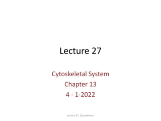 Lecture 27
Cytoskeletal System
Chapter 13
4 - 1-2022
Lecture 27, Cytoskeleton
 