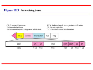 Figure 18.3 Frame Relay frame
 