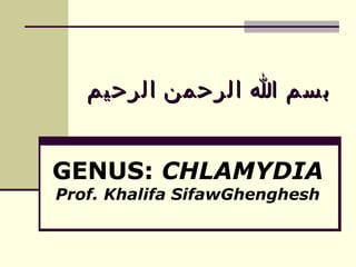 ‫الرحيم‬ ‫الرحمن‬ ‫ا‬ ‫بسم‬
‫الرحيم‬ ‫الرحمن‬ ‫ا‬ ‫بسم‬
GENUS: CHLAMYDIA
Prof. Khalifa SifawGhenghesh
 