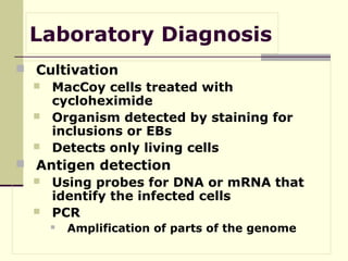Laboratory Diagnosis
 Cultivation
 MacCoy cells treated with
cycloheximide
 Organism detected by staining for
inclusions or EBs
 Detects only living cells
 Antigen detection



Using probes for DNA or mRNA that
identify the infected cells
PCR


Amplification of parts of the genome

 