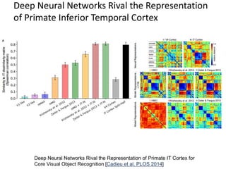 Lecture 29 Convolutional Neural Networks - Computer Vision Spring2015 ...
