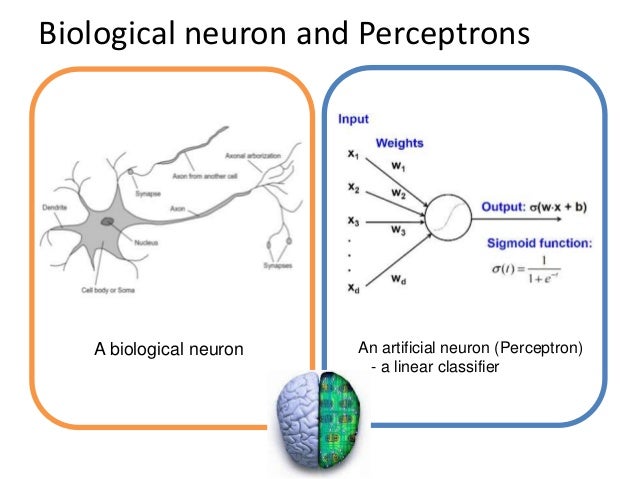 Image result for neuron perceptron