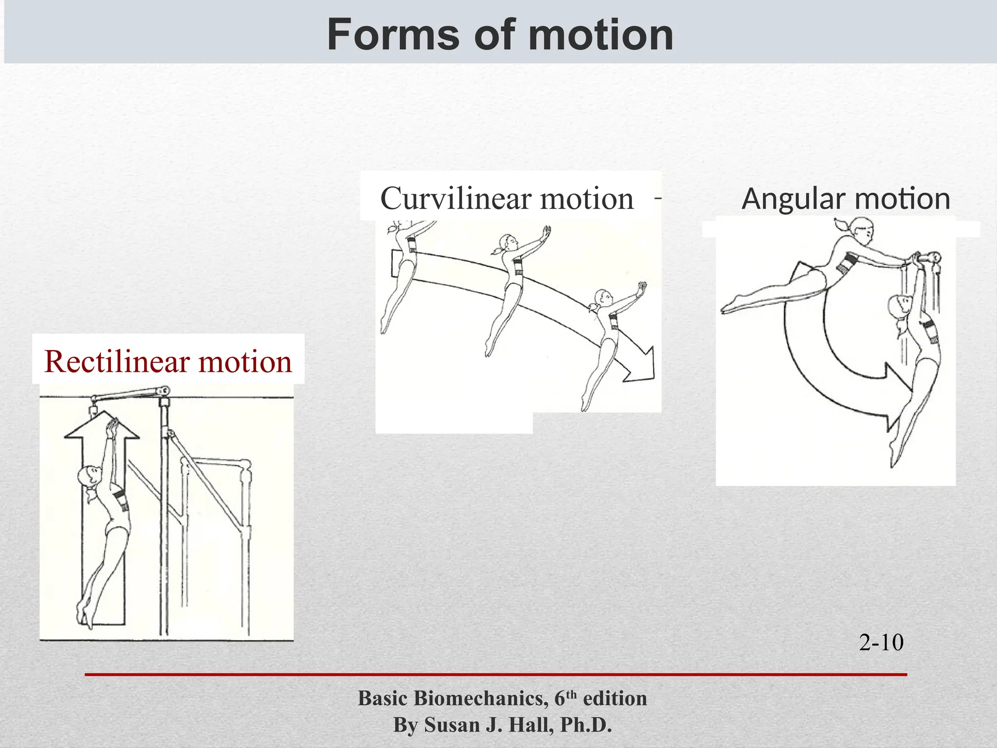 2-10
Forms of motion
Basic Biomechanics, 6th
edition
By Susan J. Hall, Ph.D.
Rectilinear motion
Curvilinear motion Angular motion
 