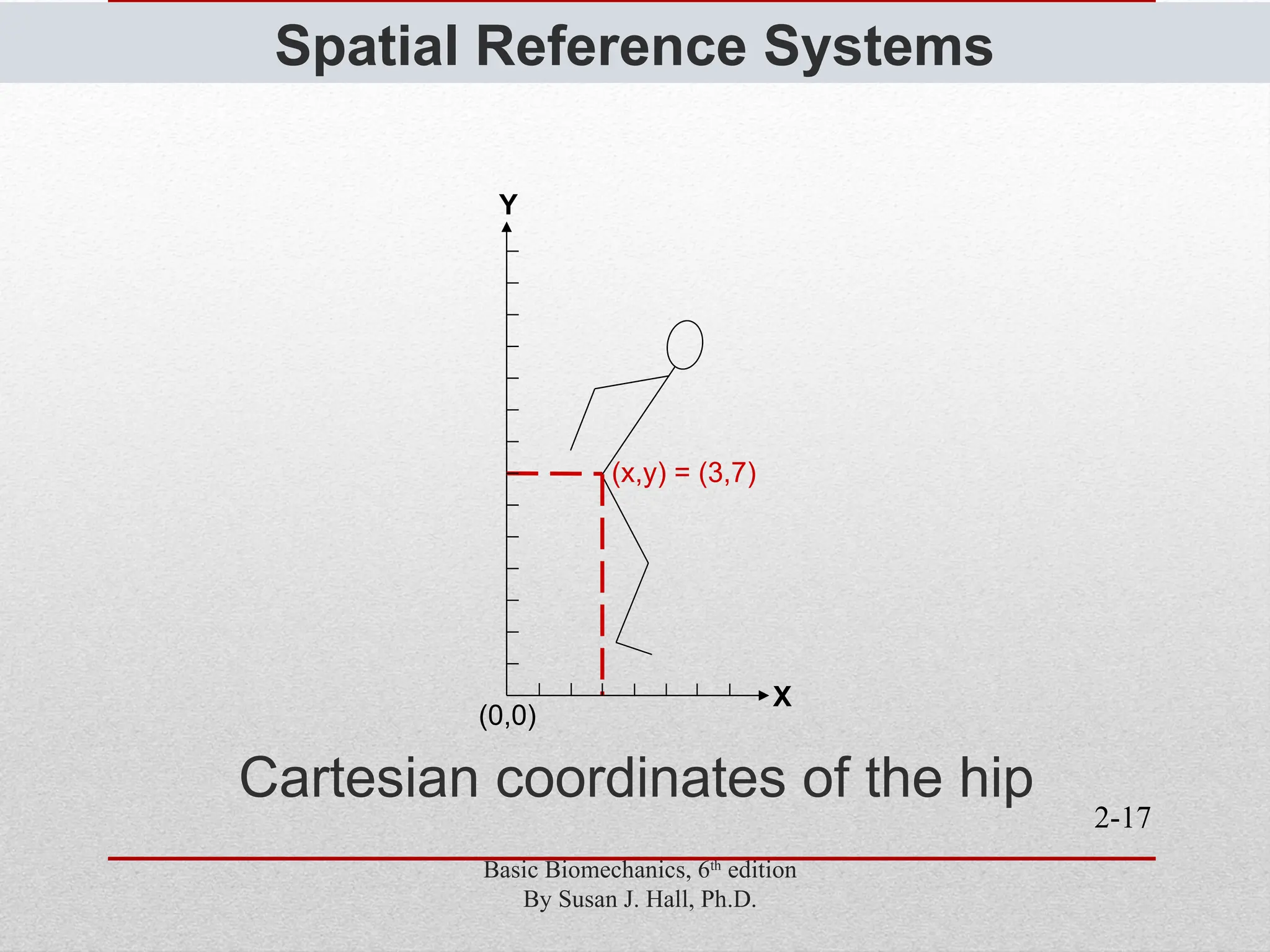 2-17
Spatial Reference Systems
(0,0)
X
Y
(x,y) = (3,7)
Cartesian coordinates of the hip
Basic Biomechanics, 6th
edition
By Susan J. Hall, Ph.D.
 