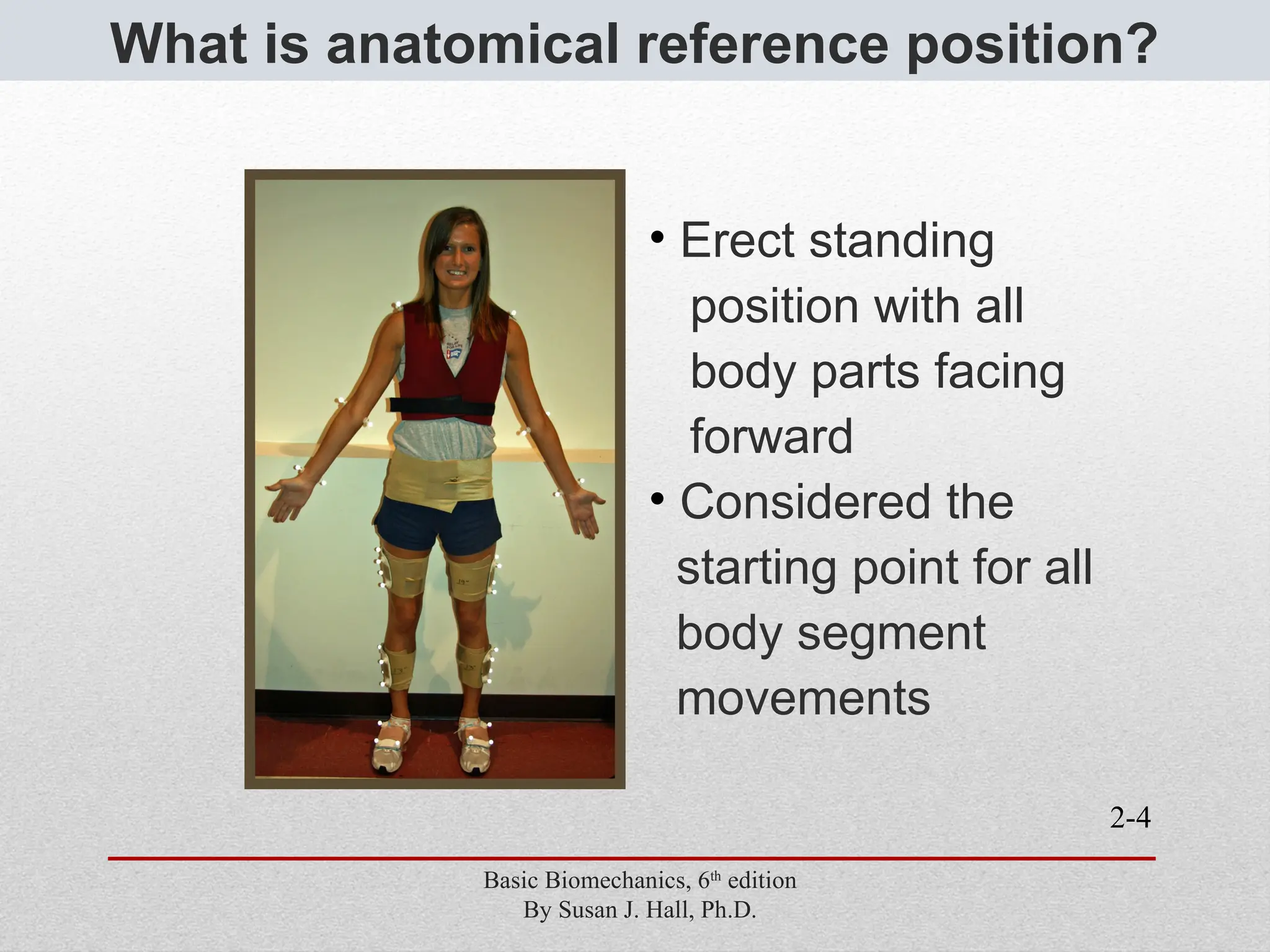 2-4
What is anatomical reference position?
• Erect standing
position with all
body parts facing
forward
• Considered the
starting point for all
body segment
movements
Basic Biomechanics, 6th
edition
By Susan J. Hall, Ph.D.
 
